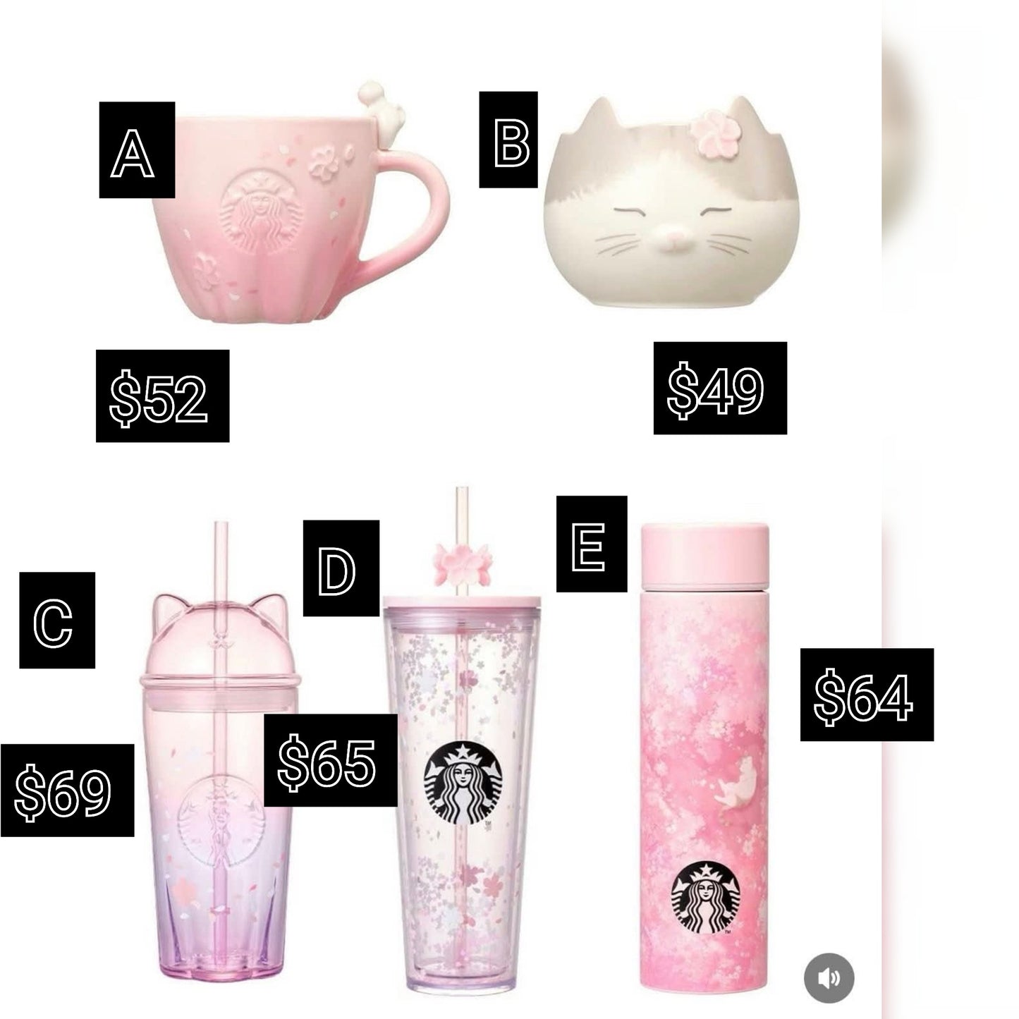 Starbucks Korea Sakura Cat Exclusive Release - Preorder - ETA Mid March